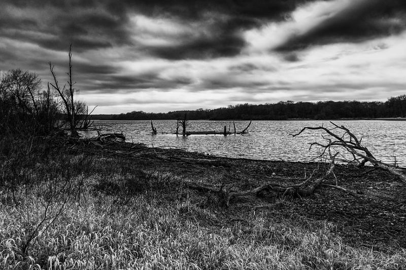 2017_02_26 (0025).jpg - Etang de Vaux